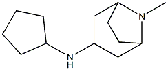 N-cyclopentyl-8-methyl-8-azabicyclo[3.2.1]octan-3-amine Struktur