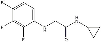 N-cyclopropyl-2-[(2,3,4-trifluorophenyl)amino]acetamide Struktur