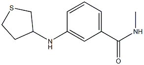 N-methyl-3-(thiolan-3-ylamino)benzamide Struktur