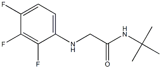 N-tert-butyl-2-[(2,3,4-trifluorophenyl)amino]acetamide Struktur