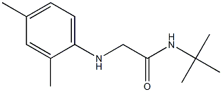 N-tert-butyl-2-[(2,4-dimethylphenyl)amino]acetamide Struktur