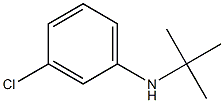 N-(tert-butyl)-N-(3-chlorophenyl)amine Struktur