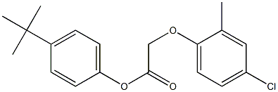 4-(tert-butyl)phenyl 2-(4-chloro-2-methylphenoxy)acetate Struktur