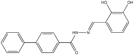 N'-[(E)-(2,3-dihydroxyphenyl)methylidene][1,1'-biphenyl]-4-carbohydrazide Struktur