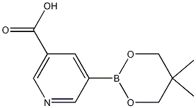 5-(5,5-Dimethyl-1,3,2-dioxaborinan-2-yl)-nicotinic acid Struktur