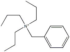 N,N,N-Tripropylbenzenemethaneaminium Struktur