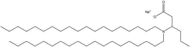 3-(Dinonadecylamino)hexanoic acid sodium salt Struktur