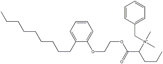 N,N-Dimethyl-N-benzyl-N-[1-[[2-(2-nonylphenyloxy)ethyl]oxycarbonyl]butyl]aminium Struktur