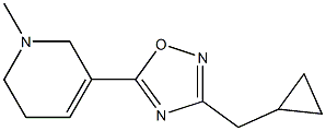 3-Cyclopropylmethyl-5-[(1,2,5,6-tetrahydro-1-methylpyridin)-3-yl]-1,2,4-oxadiazole Struktur