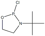 3-tert-Butyl-2-chloro-1-oxa-3-aza-2-phosphacyclopentane Struktur