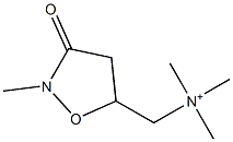 Trimethyl[(2-methyl-3-oxoisoxazolidin-5-yl)methyl]aminium Struktur