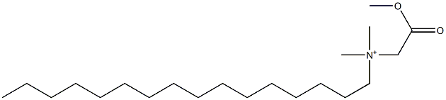 N-Methoxycarbonylmethyl-N,N-dimethyl-1-hexadecanaminium Struktur