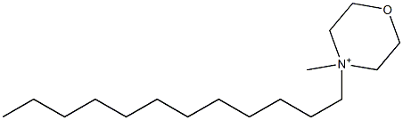 4-Dodecyl-4-methylmorpholinium Struktur