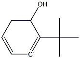 2-(1,1-Dimethylethyl)phenol anion Struktur