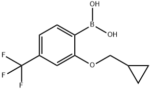 2-(Cyclopropylmethoxy)-4-trifluoromethylphenylboronic acid Struktur