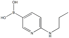 6-(propylamino)pyridin-3-ylboronic acid Struktur