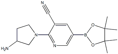 2-(3-aminopyrrolidin-1-yl)-5-(4,4,5,5-tetramethyl-1,3,2-dioxaborolan-2-yl)pyridine-3-carbonitrile Struktur