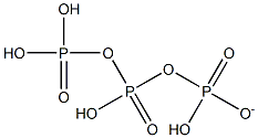 trihydrogen triphosphate ion Struktur