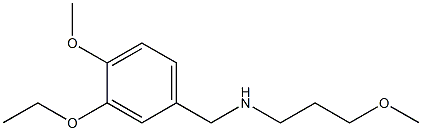 [(3-ethoxy-4-methoxyphenyl)methyl](3-methoxypropyl)amine Struktur