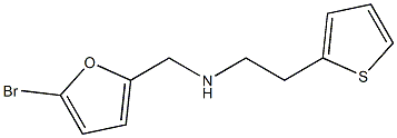 [(5-bromofuran-2-yl)methyl][2-(thiophen-2-yl)ethyl]amine Struktur