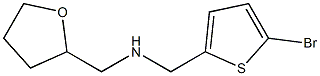 [(5-bromothiophen-2-yl)methyl](oxolan-2-ylmethyl)amine Struktur