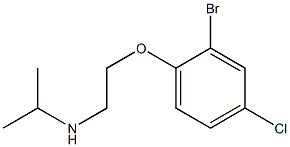 [2-(2-bromo-4-chlorophenoxy)ethyl](propan-2-yl)amine Struktur