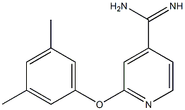 2-(3,5-dimethylphenoxy)pyridine-4-carboximidamide Struktur