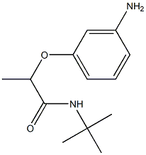 2-(3-aminophenoxy)-N-tert-butylpropanamide Struktur