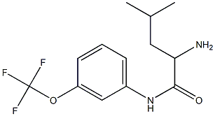 2-amino-4-methyl-N-[3-(trifluoromethoxy)phenyl]pentanamide Struktur