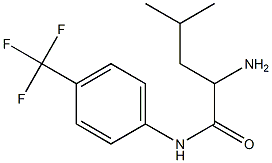 2-amino-4-methyl-N-[4-(trifluoromethyl)phenyl]pentanamide Struktur