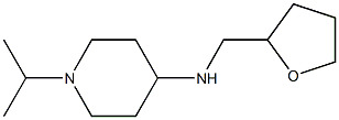 N-(oxolan-2-ylmethyl)-1-(propan-2-yl)piperidin-4-amine Struktur