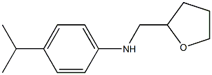 N-(oxolan-2-ylmethyl)-4-(propan-2-yl)aniline Struktur