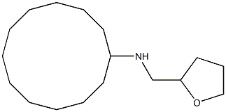 N-(oxolan-2-ylmethyl)cyclododecanamine Struktur