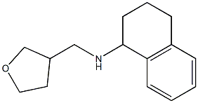 N-(oxolan-3-ylmethyl)-1,2,3,4-tetrahydronaphthalen-1-amine Struktur