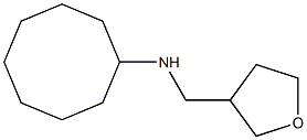 N-(oxolan-3-ylmethyl)cyclooctanamine Struktur