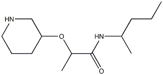 N-(pentan-2-yl)-2-(piperidin-3-yloxy)propanamide Struktur