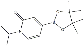 1-isopropyl-4-(4,4,5,5-tetramethyl-1,3,2-dioxaborolan-2-yl)pyridin-2(1H)-one Struktur