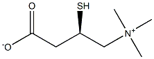 (R)-(3-carboxy-2-mercaptopropyl)trimethylammonium hydroxide inner salt Struktur