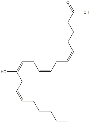 12 hydroxy arachidonic acid Struktur