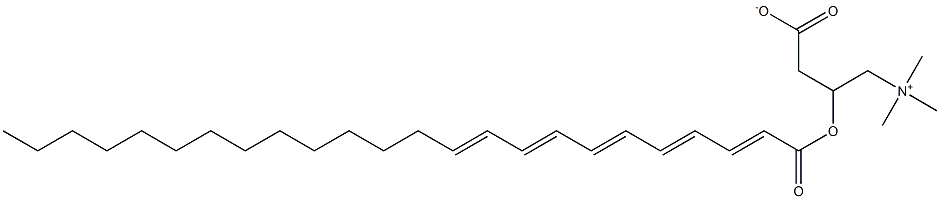 tetracosapentaenoyl carnitine Struktur