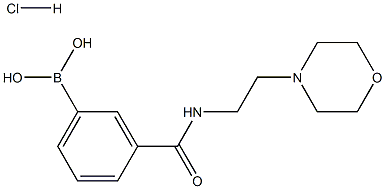 3-[(2-Morpholin-4-ylethyl)carbamoyl]benzeneboronic acid hydrochloride 98% Struktur