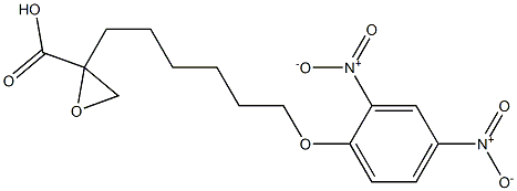 2-(6-(2,4-dinitrophenoxy)hexyl)oxirane carboxylic acid Struktur