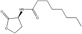 N-octanoylhomoserine lactone Struktur