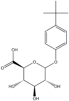 PARA-TERT-BUTYLPHENYLGLUCURONIDE Struktur