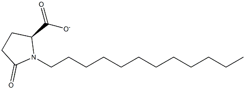 DODECYL-L-PYROGLUTAMATE Struktur