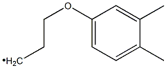 [2-(3,4-Dimethylphenoxy)ethyl]methyl- Struktur