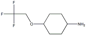 4-(2,2,2-TRIFLUOROETHOXY)CYCLOHEXANAMINE Struktur