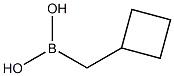 cyclobutylmethylboronic acid Struktur