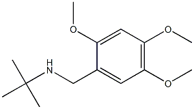 N-(tert-butyl)-N-(2,4,5-trimethoxybenzyl)amine Struktur