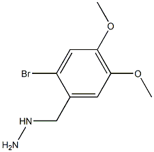 1-(2-bromo-4,5-dimethoxybenzyl)hydrazine Struktur